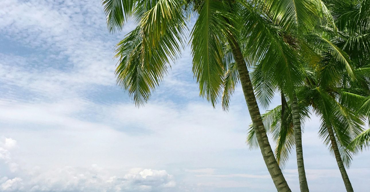 Punta Cana