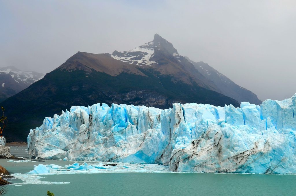 calafate-322711_1280